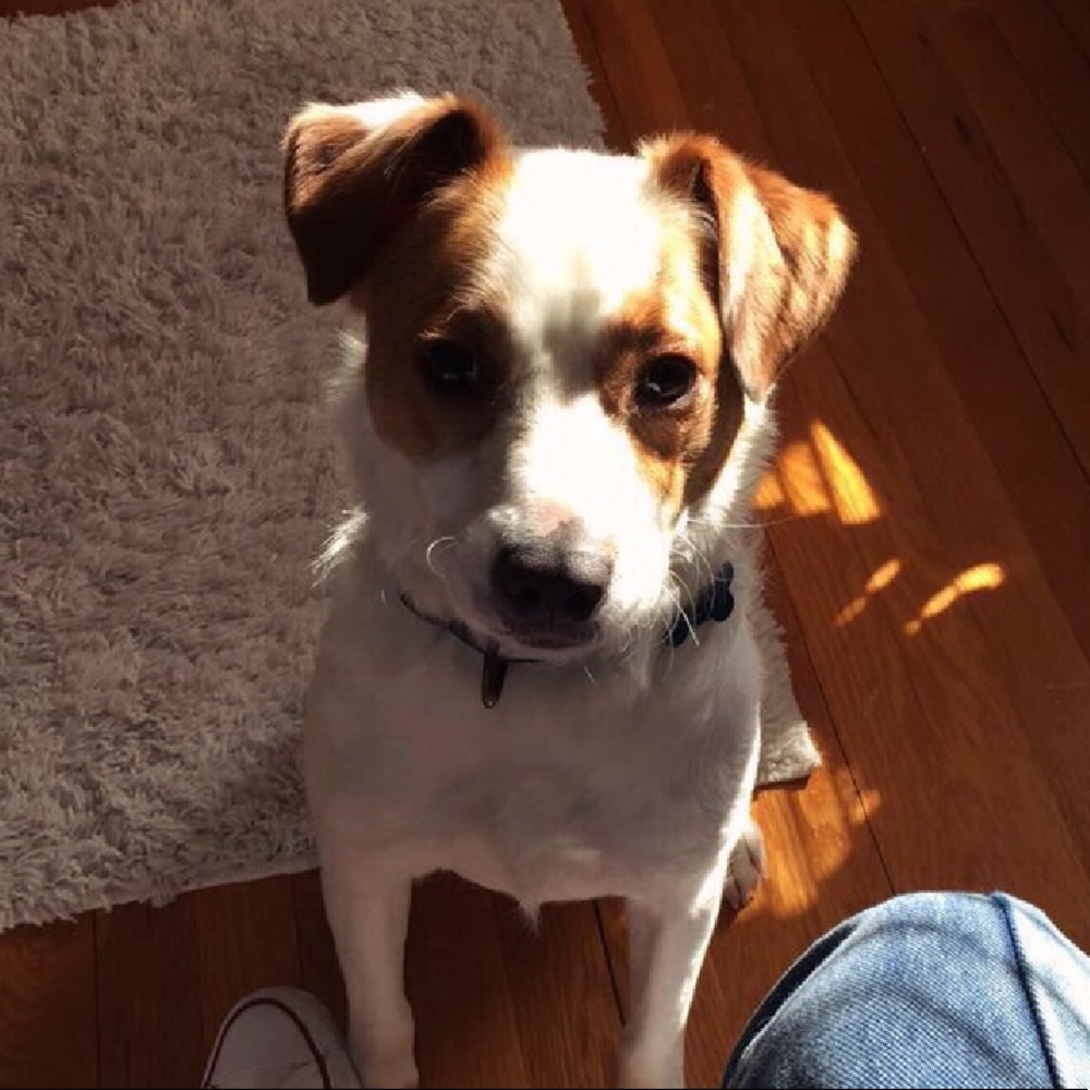 Meet your Posher, Renae
